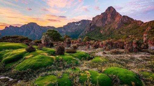 Prehistoric Dawn