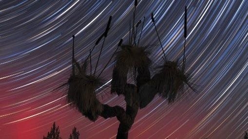 Flinders Aurora