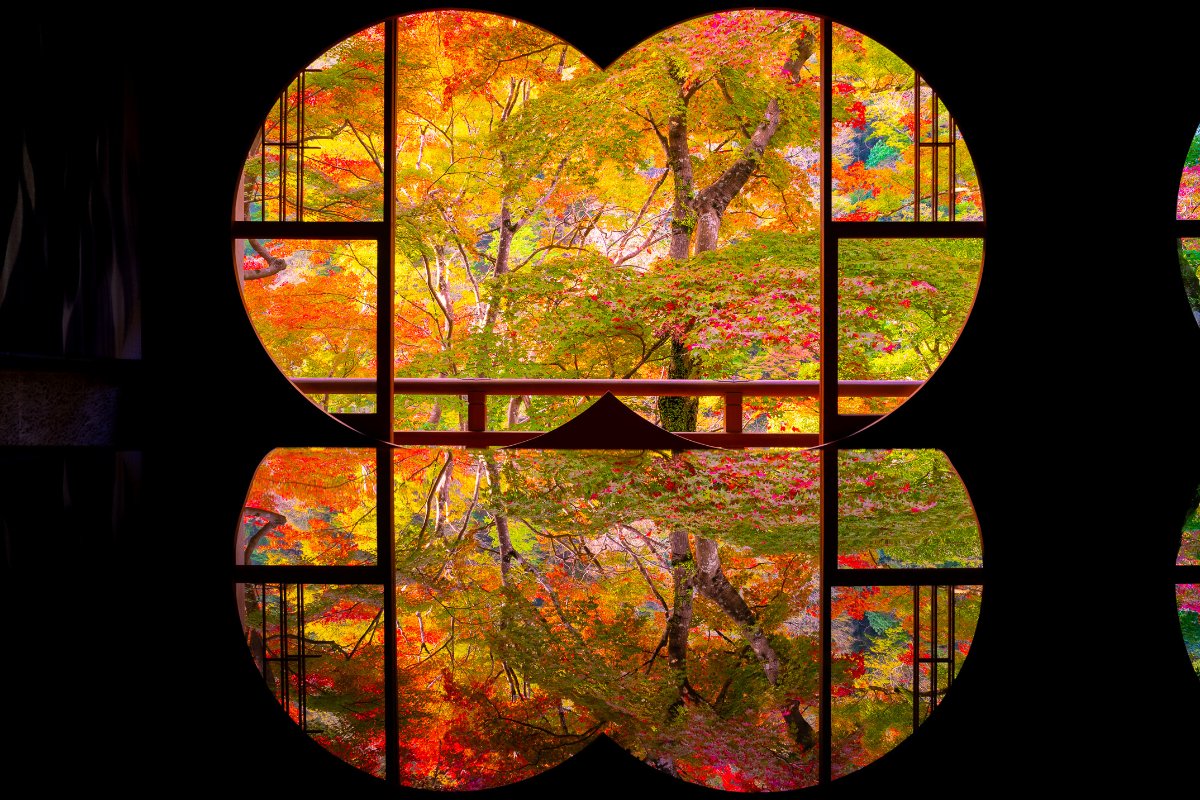 Japan Autumn Workshop Tour
