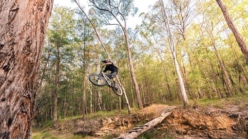 MTB Cruising - Glenbrook, NSW