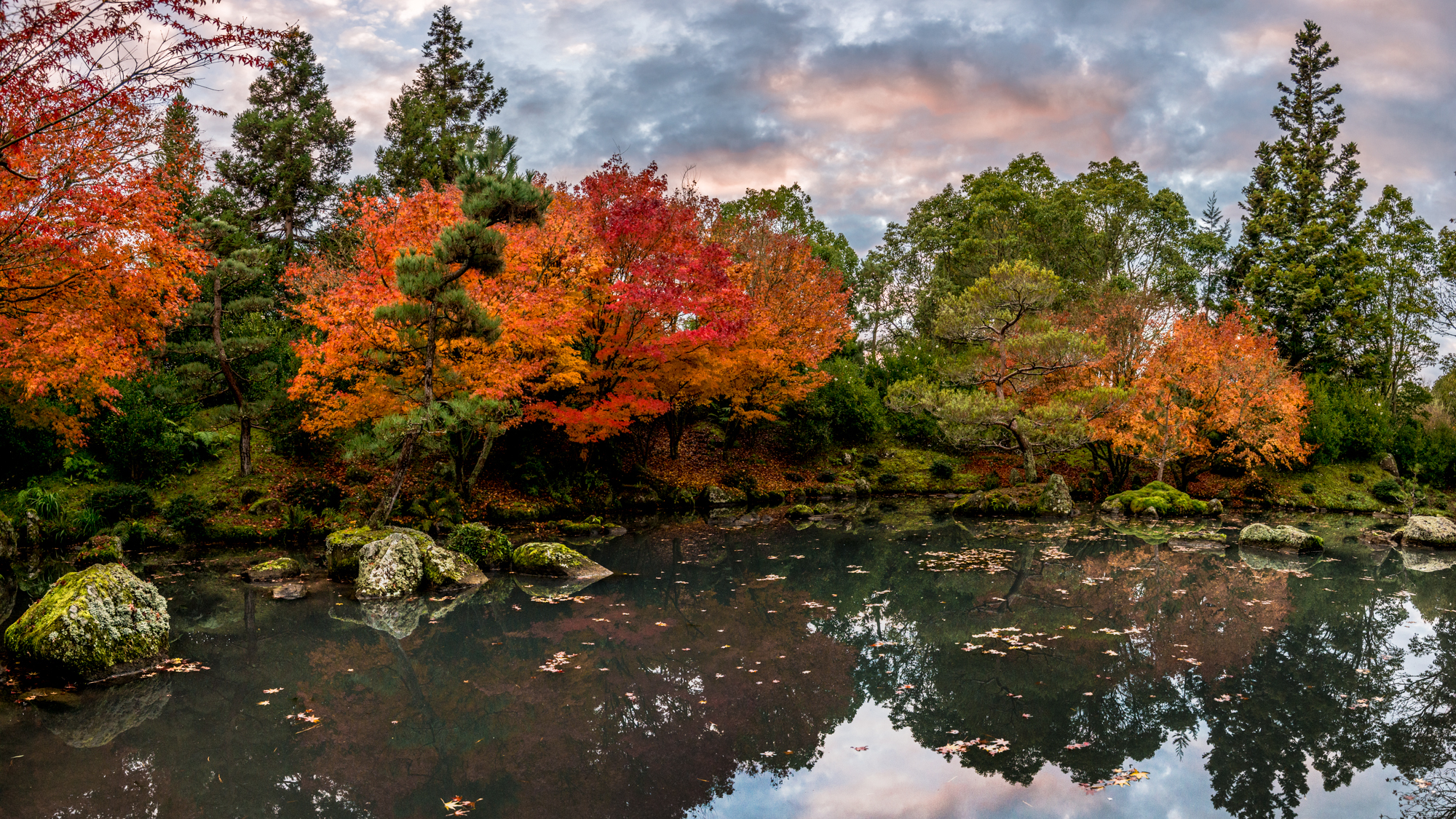 Autumn in Hamilton Gardens (Photo Walk & Coffee Meetup) - Scene