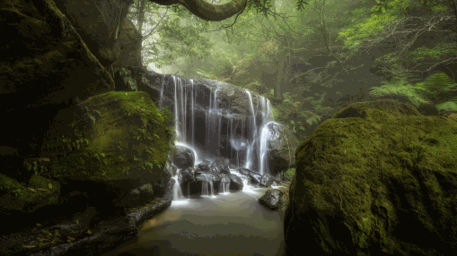 WEEPING ROCK