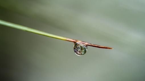 Looking glass