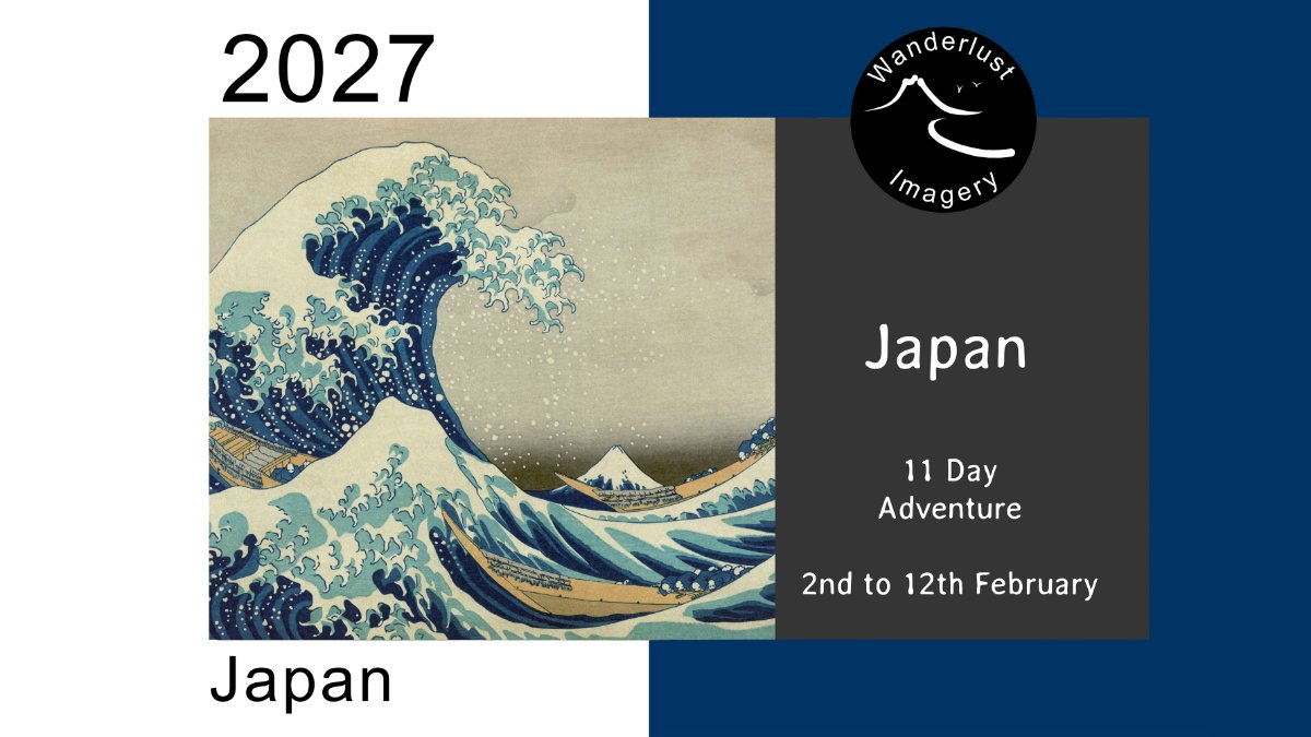 Japan Winter Landscapes and Wildlife - SOLD OUT 
