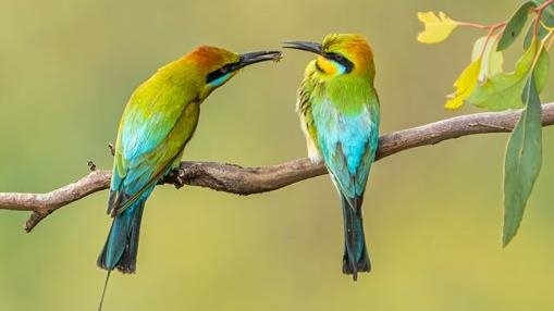 Rainbow lunch