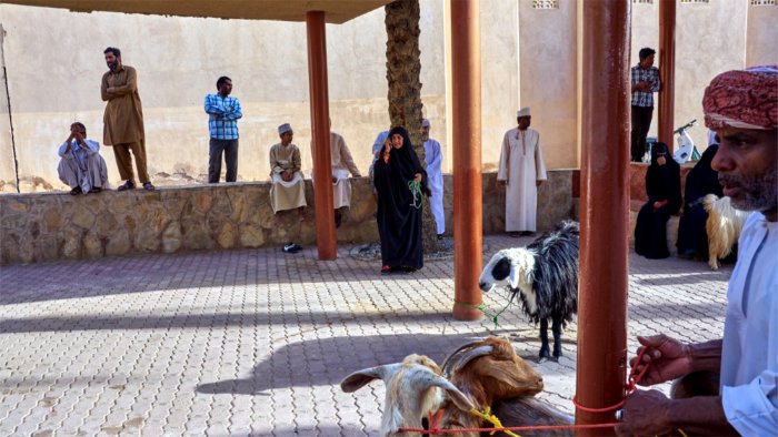 Sheep Market Nizwa Oman