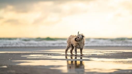 Stormy