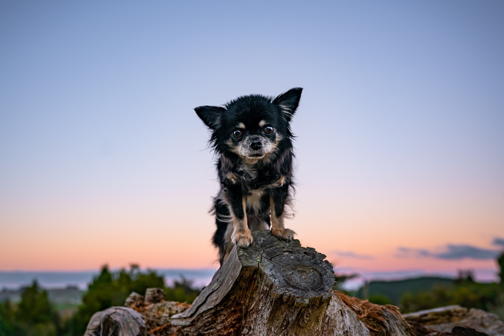 Top Of The World