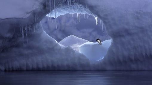 Penguin Portal