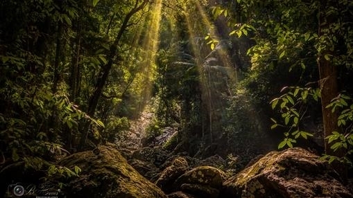 "Kondalilla Falls" Down Stream. Manley Queensland. 